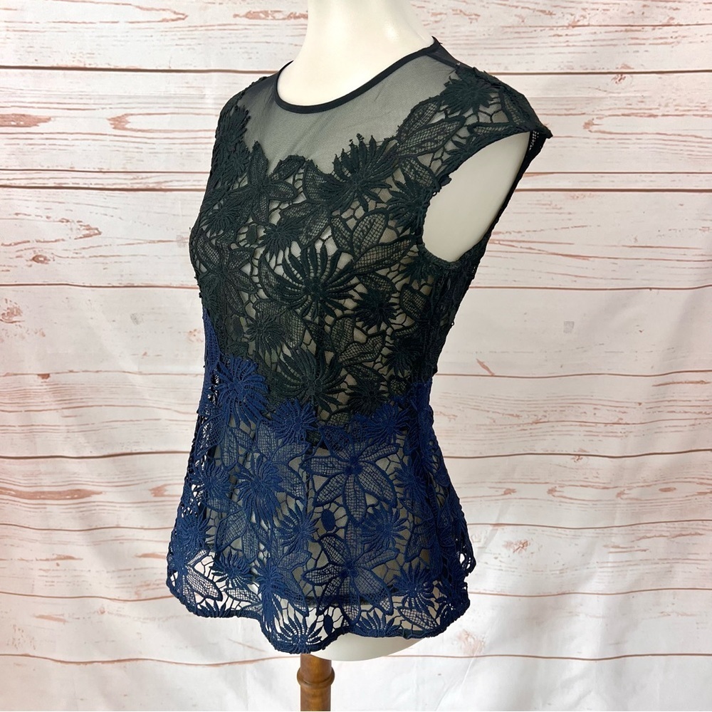 Anthropologie Deletta Guipure Lace Asymmetrical Ombre Sheer Peplum Blouse - Picture 4 of 11